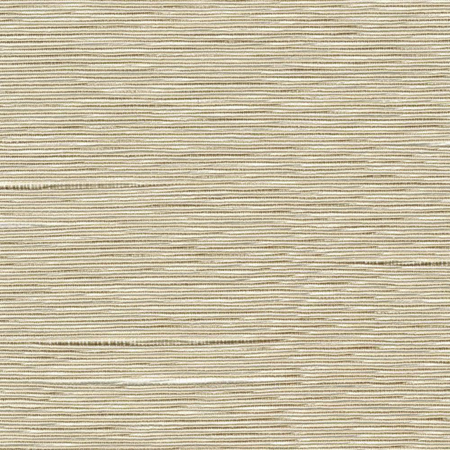 Kasmir Fabric Boxwood Oyster 1319 55% Cotton 45% Polyester TAIWAN 30,000 Wyzenbeek Double Rubs H: N/A, V:N/A 54 - 55 - My Fabric Connection - Kasmir