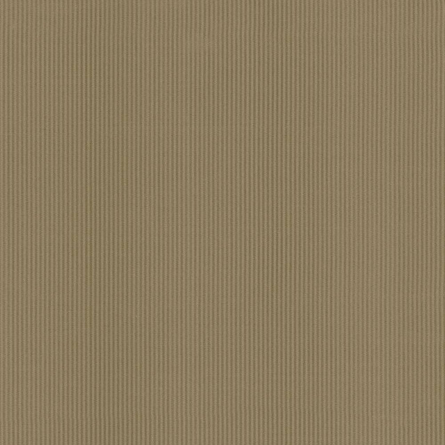 Kasmir Fabric Bright Lights Latte 5093 100% Polyester TAIWAN 6,000 Wyzenbeek Double Rubs H: 2/8 inches, V:N/A 58 - 60 - My Fabric Connection - Kasmir