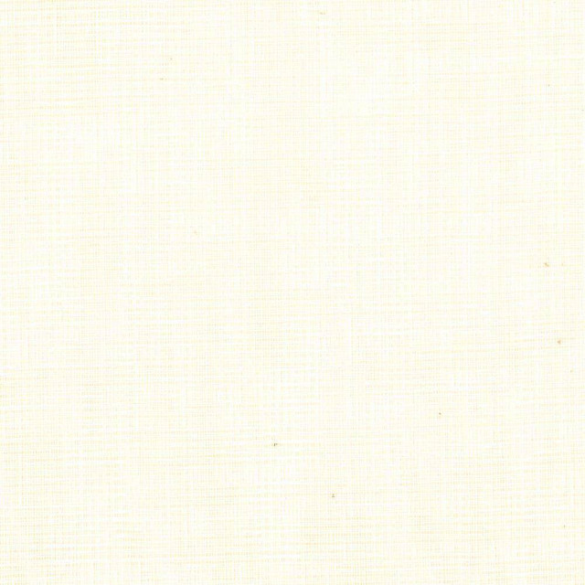 Kasmir Fabric Bronte Champagne 5076 100% Polyester TURKEY H: N/A, V:N/A 117 - 118 - My Fabric Connection - Kasmir