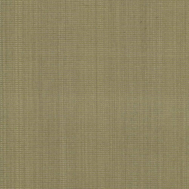 Kasmir Fabric Burnet Celery 5074 52% Cotton 31% Polyester 17% Rayon CHINA 60,000 Wyzenbeek Double Rubs H: N/A, V:N/A 58 - My Fabric Connection - Kasmir