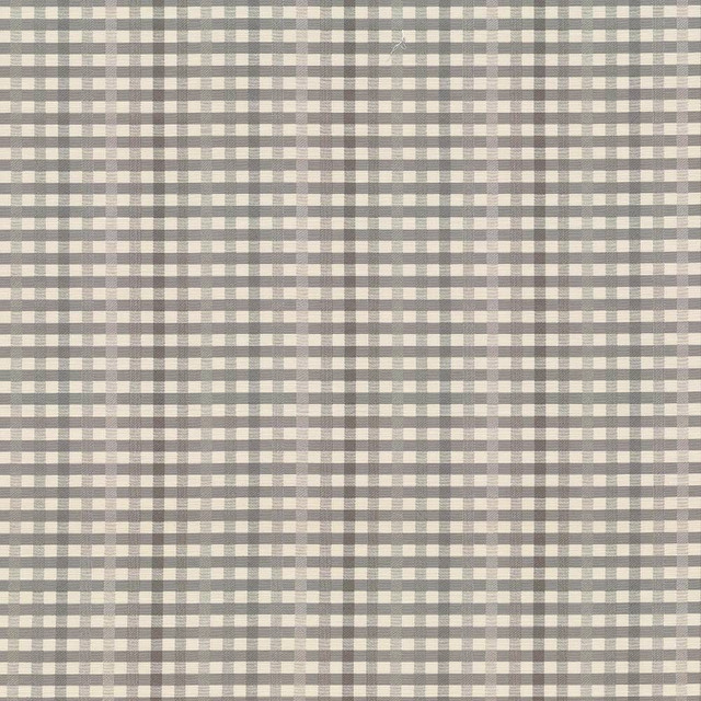 Kasmir Fabric Chloe Check Pearl Grey 5067 55% Cotton 45% Polyester TAIWAN 25,000 Wyzenbeek Double Rubs H: 13 4/8 inches, V:1 inches 54 - My Fabric Connection - Kasmir