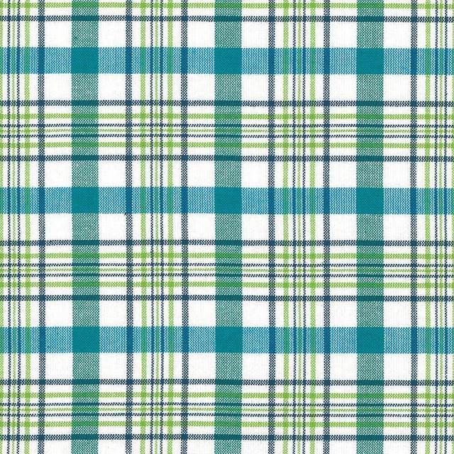 Kasmir Fabric Cicero Plaid Isle Waters 5072 100% Cotton INDIA 30,000 Wyzenbeek Double Rubs H: 3 inches, V:3 inches 54 - My Fabric Connection - Kasmir