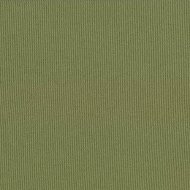 Kasmir Fabric Docksider Basil 5057 100% Cotton USA 18,000 Wyzenbeek Double Rubs H: N/A, V:N/A 57 - 58 - My Fabric Connection - Kasmir