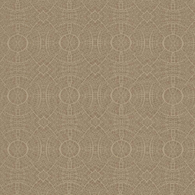 Kasmir Fabric Fracture Beige 5110 100% Polyester INDIA 42,000 Wyzenbeek Double Rubs H: 4 4/8 inches, V:4 4/8 inches 56 - My Fabric Connection - Kasmir