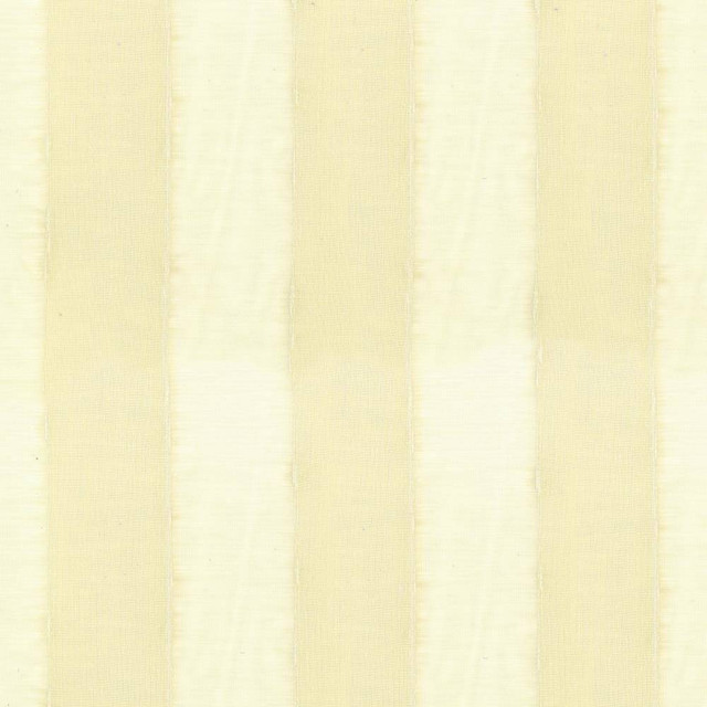 Kasmir Fabric Haddon Sheer Champagne 5076 100% Polyester TURKEY H: 7 2/8 inches, V:N/A 117 - 118 - My Fabric Connection - Kasmir