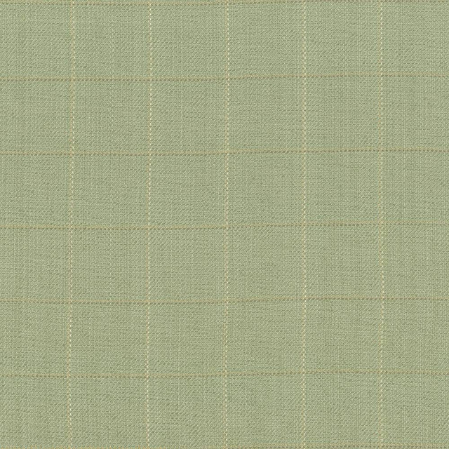 Kasmir Fabric Keheley Thyme 1442 INDIA 12,000 Wyzenbeek Double Rubs H: 3 inches, V:3 inches 53 - 54 - My Fabric Connection - Kasmir
