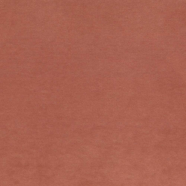 Kasmir Fabric Maison Royale Nectar 1448 CHINA 201,000 Wyzenbeek Double Rubs H: N/A, V:N/A 54 - My Fabric Connection - Kasmir