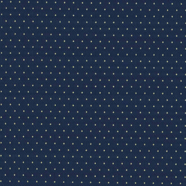 Kasmir Fabric Martinez Twilight 5088 CHINA 30,000 Wyzenbeek Double Rubs H: 6/8 inches, V:1 2/8 inches 54 - 56 - My Fabric Connection - Kasmir