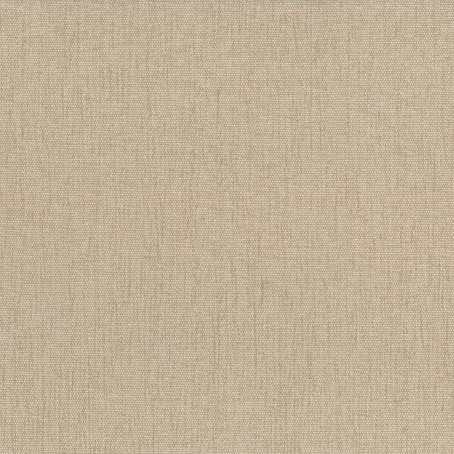 Kasmir Fabric Pinnacle Chamois 1353 INDIA 102,000 Wyzenbeek Double Rubs H: N/A, V:N/A 54 - 55 - My Fabric Connection - Kasmir