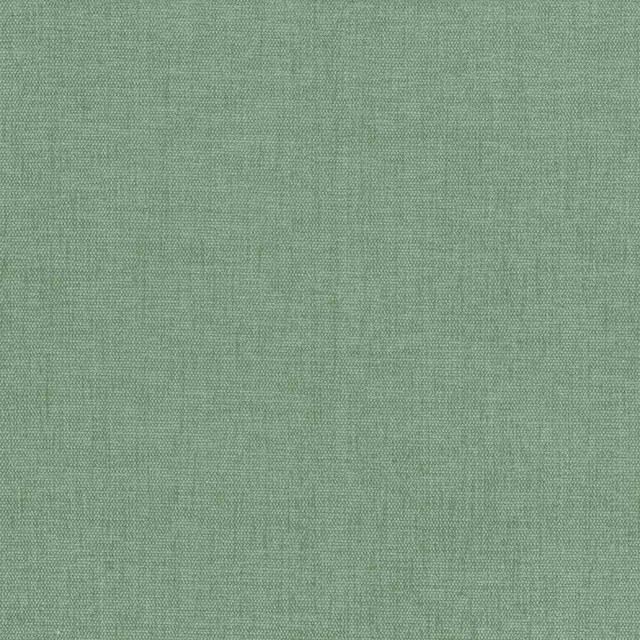 Kasmir Fabric Pinnacle Mint 5046 INDIA 102,000 Wyzenbeek Double Rubs H: N/A, V:N/A 54 - 55 - My Fabric Connection - Kasmir