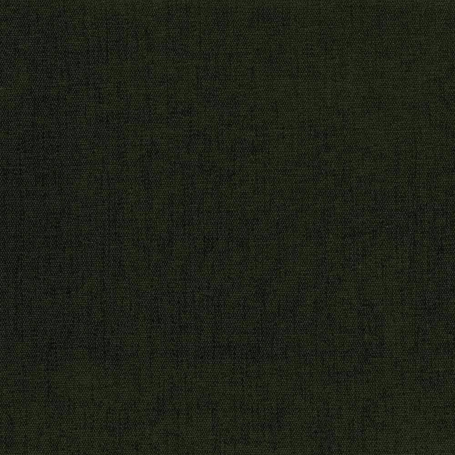 Kasmir Fabric Pinnacle Moss 5046 INDIA 102,000 Wyzenbeek Double Rubs H: N/A, V:N/A 54 - 55 - My Fabric Connection - Kasmir