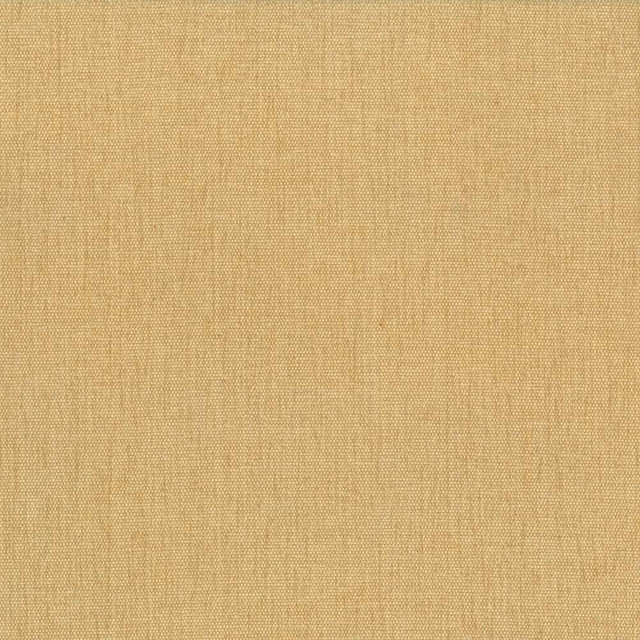 Kasmir Fabric Pinnacle Mustard 1353 INDIA 102,000 Wyzenbeek Double Rubs H: N/A, V:N/A 54 - 55 - My Fabric Connection - Kasmir
