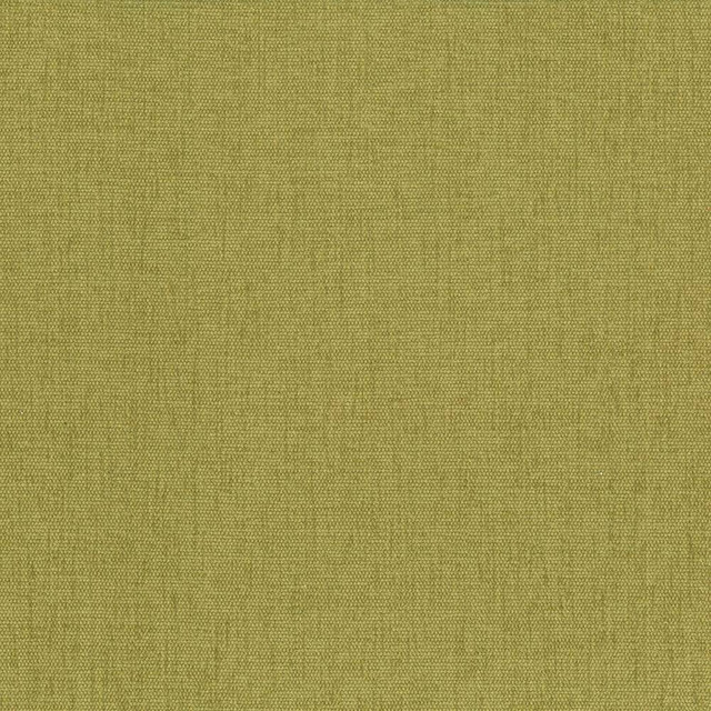 Kasmir Fabric Pinnacle Palm 5046 INDIA 102,000 Wyzenbeek Double Rubs H: N/A, V:N/A 54 - 55 - My Fabric Connection - Kasmir