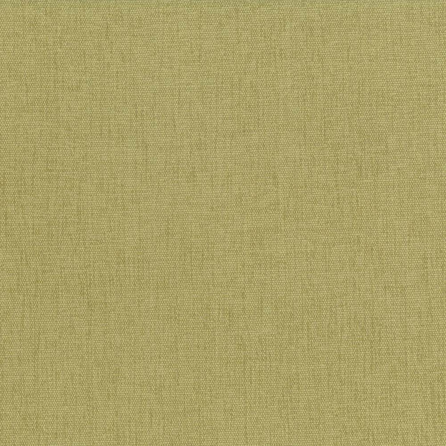 Kasmir Fabric Pinnacle Thyme 5046 INDIA 102,000 Wyzenbeek Double Rubs H: N/A, V:N/A 54 - 55 - My Fabric Connection - Kasmir