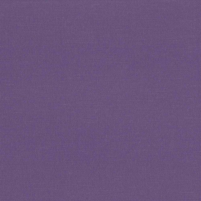 Kasmir Fabric Pirouette Grape 5054 INDIA 45,000 Wyzenbeek Double Rubs H: N/A, V:N/A 54 - 55 - My Fabric Connection - Kasmir