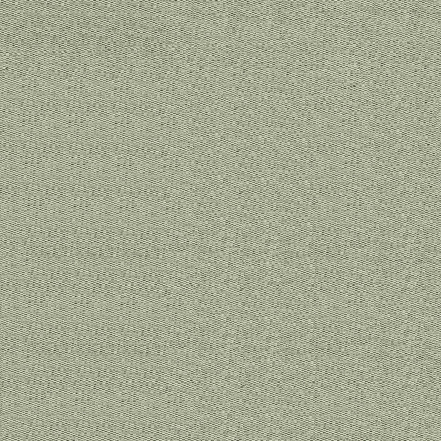 Kasmir Fabric Ponte Sage 5099 CHINA 40,000 Martindale Cycles H: N/A, V:N/A 55 - 56 - My Fabric Connection - Kasmir