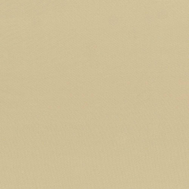 Kasmir Fabric Seductive Almond 5052 INDIA 6,000 Wyzenbeek Double Rubs H: N/A, V:N/A 53 - My Fabric Connection - Kasmir