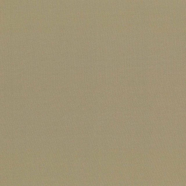 Kasmir Fabric Seductive Antique 5052 INDIA 6,000 Wyzenbeek Double Rubs H: N/A, V:N/A 53 - My Fabric Connection - Kasmir