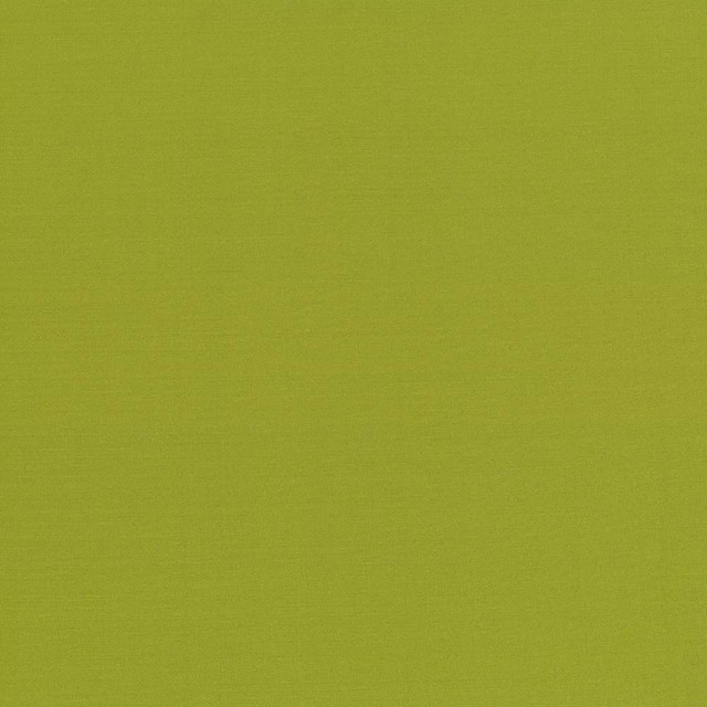 Kasmir Fabric Seductive Kiwi 5052 INDIA 6,000 Wyzenbeek Double Rubs H: N/A, V:N/A 53 - My Fabric Connection - Kasmir