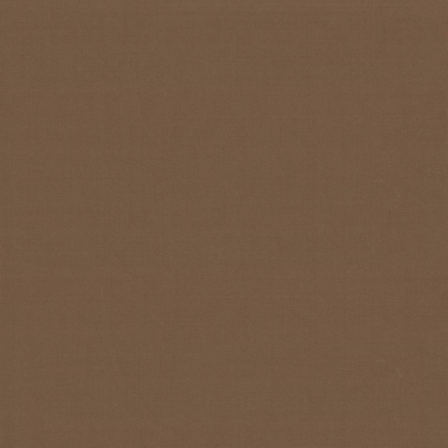Kasmir Fabric Seductive Latte 5052 INDIA 6,000 Wyzenbeek Double Rubs H: N/A, V:N/A 53 - My Fabric Connection - Kasmir