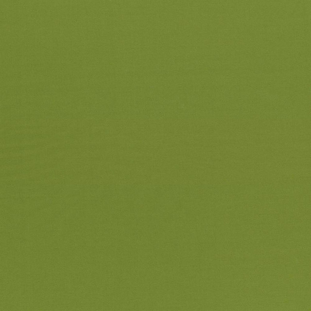 Kasmir Fabric Seductive Olive 5052 INDIA 6,000 Wyzenbeek Double Rubs H: N/A, V:N/A 53 - My Fabric Connection - Kasmir
