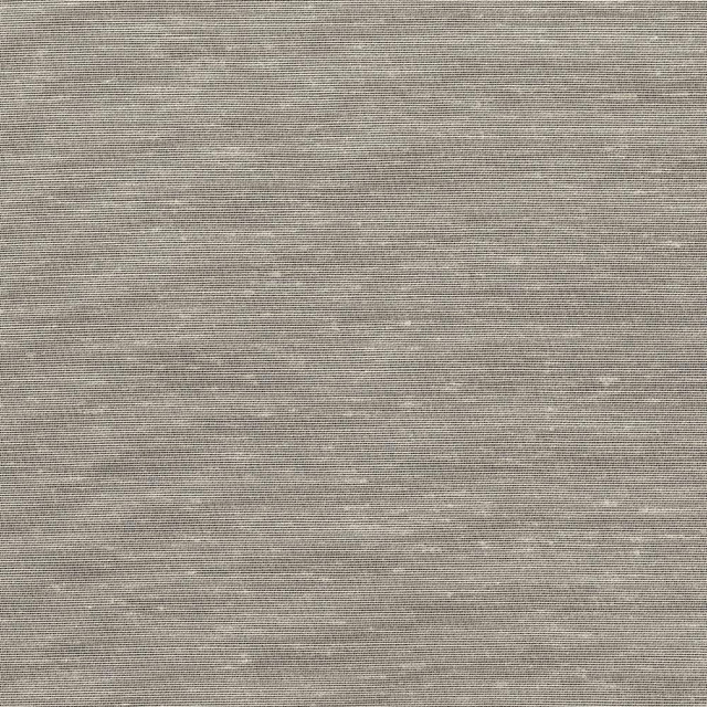 Kasmir Fabric Sh365 Champagne 1283 USA H: N/A, V:N/A 118 - My Fabric Connection - Kasmir