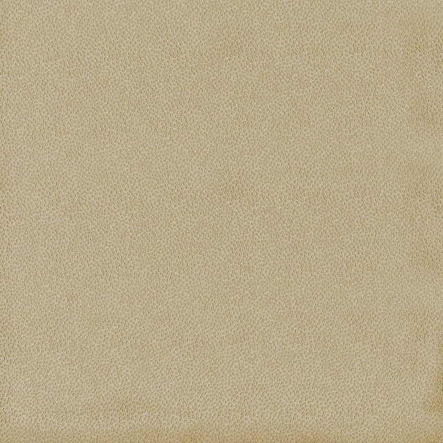 Kasmir Fabric Spontaneity Cedar 5092 INDIA 30,000 Wyzenbeek Double Rubs H: N/A, V:N/A 54 - 55 - My Fabric Connection - Kasmir