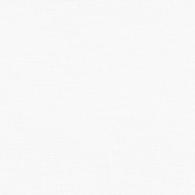 Kasmir Fabric Subtle Chic White 5040 INDIA 50,000 Wyzenbeek Double Rubs H: N/A, V:N/A 55 - 57 - My Fabric Connection - Kasmir