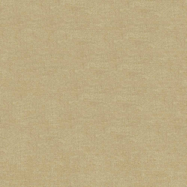 Kasmir Fabric Vestige Pumice 5051 CHINA 30,000 Wyzenbeek Double Rubs H: N/A, V:N/A 55 - My Fabric Connection - Kasmir