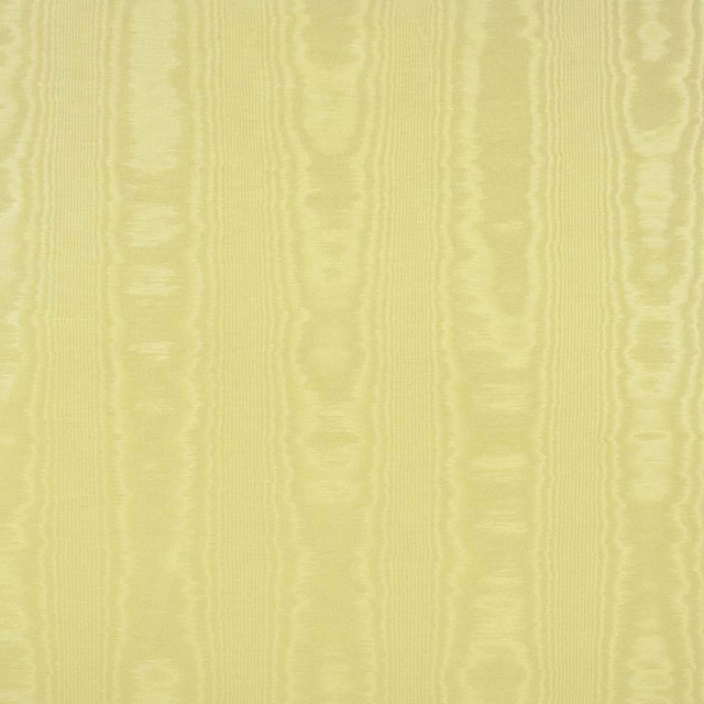 Kasmir Fabric Woodmark Butterscotch 5102 TAIWAN H: N/A, V:N/A 54 - 58 - My Fabric Connection - Kasmir