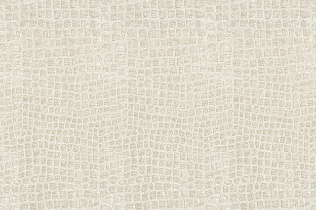 Kravet Contract Fabric Finnian Cloud Nine