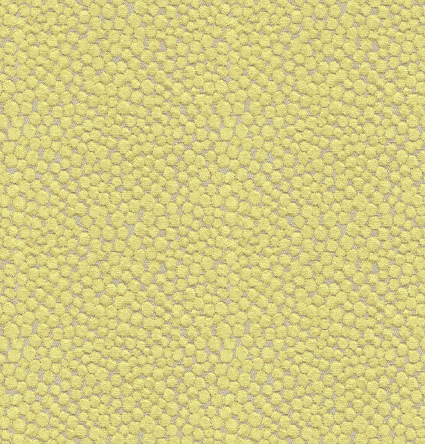 Kravet Couture Fabric Polka Dot Plush Wasabi