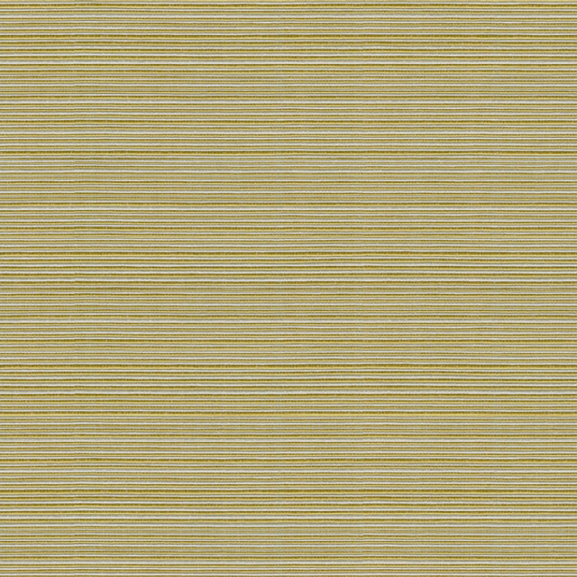 Kravet Basics Fabric Campania Kiwi