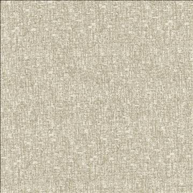 Kasmir Fabric Blake Cloud
