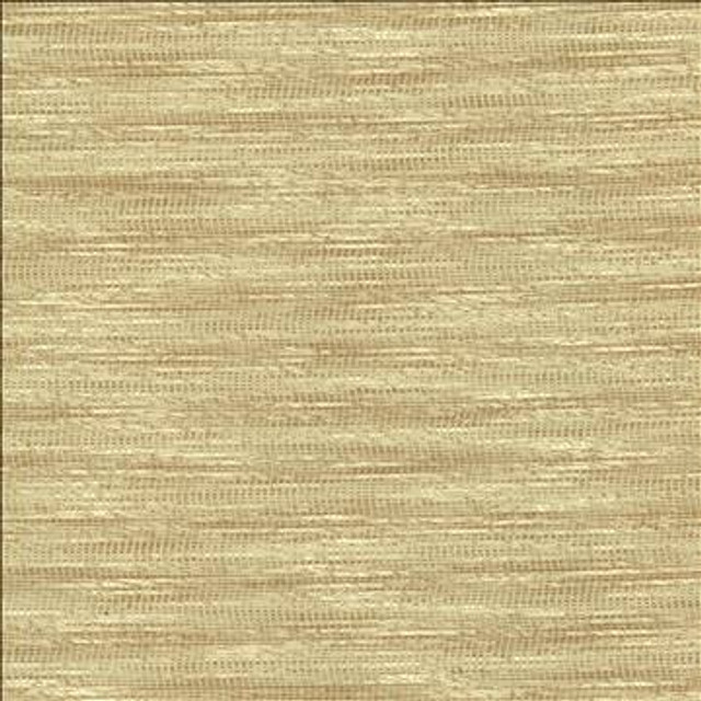 Kasmir Fabric Striated Beige 5120 68% Polyester 18% Cotton 14% Viscose INDIA 50,000 Wyzenbeek Double Rubs H: N/A, V: N/A 54 - My Fabric Connection - Kasmir