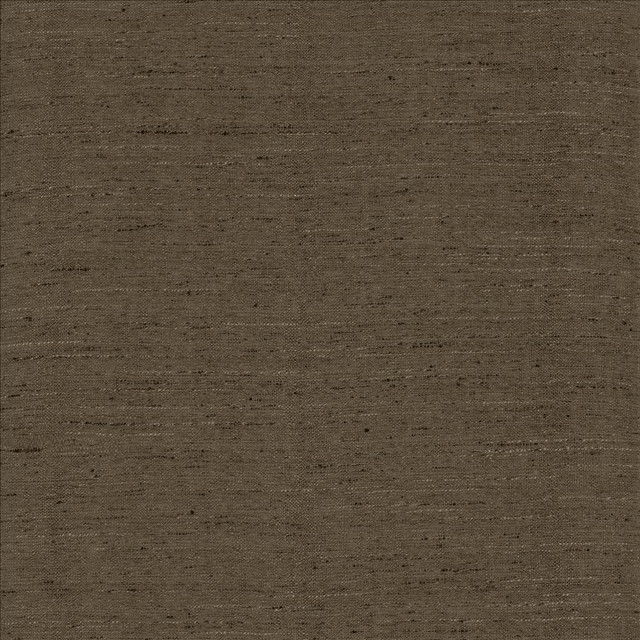 Kasmir Fabric Polished Mercury 5153 100% Polyester INDIA 51,000 Wyzenbeek Double Rubs Horizontal: 0 Inches and Vertical: 0 Inches 55 - My Fabric Connection -