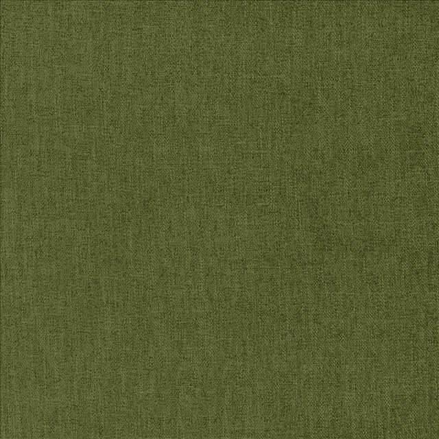 Kasmir Fabric Tundra Dill 5161 100% Polyester CHINA 51,000 Wyzenbeek Double Rubs Horizontal: 0 Inches and Vertical: 0 Inches 55 - My Fabric Connection -