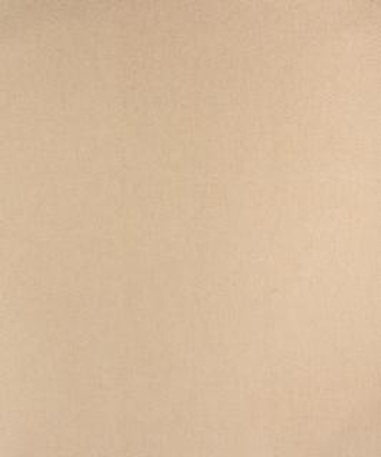 Barrow Industries Fabric Saguaro Ivory M9591 Casual Living/14C01 100% POLYESTER Asia 9,000 DOUBLE RUBS Horizontal: - and Vertical: - 57" - My Fabric Connection -