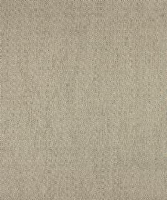 Barrow Industries Fabric Pupil 12312 M10310 Modern/Contemporary/17CL09 79% POLYESTER (S)
21% POLYESTER (F) Asia 50,000 DOUBLE RUBS Horizontal: 3/4" and Vertical: 3/4" 58" - My Fabric Connection -