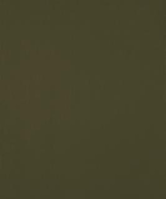 Barrow Industries Fabric Ciabatta 12105 M10436 Performance Fabrics/18C09 100% POLYESTER KNIT PILE FABRIC Asia 30,000 DOUBLE RUBS Horizontal: - and Vertical: - 57" - My Fabric Connection -