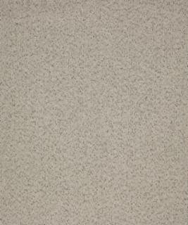 Barrow Industries Fabric Modish 11112 M10541 Textures/Solids/18C10 84% POLYESTER (F)
12% RAYON (S)
4% POLYESTER (S) Asia 33,000 DOUBLE RUBS Horizontal: - and Vertical: - 58" - My Fabric Connection -