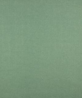 Barrow Industries Fabric Staysail Turquoise M9134 Transitional/15CL01 52% POLYESTER FILAMENT-TEXTURED
48% POLYESTER FILAMENT NON-TEXTURED Asia 30,000 DOUBLE RUBS Horizontal: N/A and Vertical: N/A 58" - My Fabric Connection -