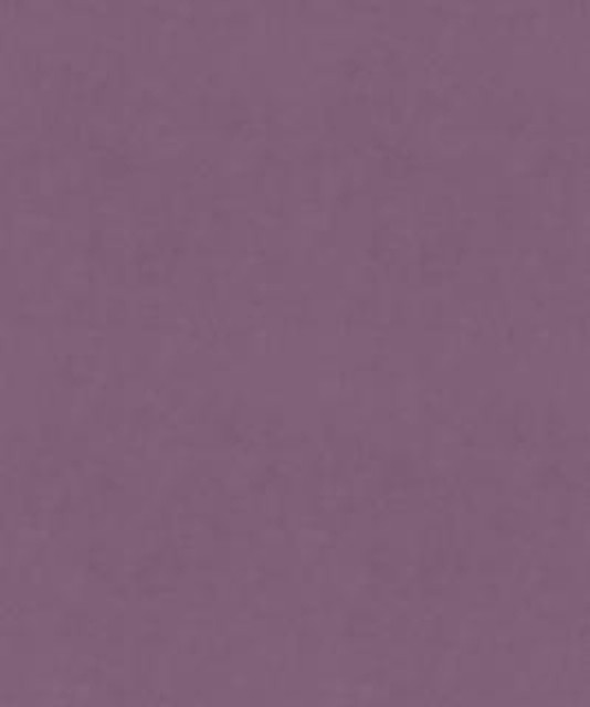 Barrow Industries Fabric Torino 21801 M9989 Transitional/1869 100% POLYESTER KNIT PILE FABRIC Asia 30,000 DOUBLE RUBS Horizontal: - and Vertical: - 57" - My Fabric Connection -