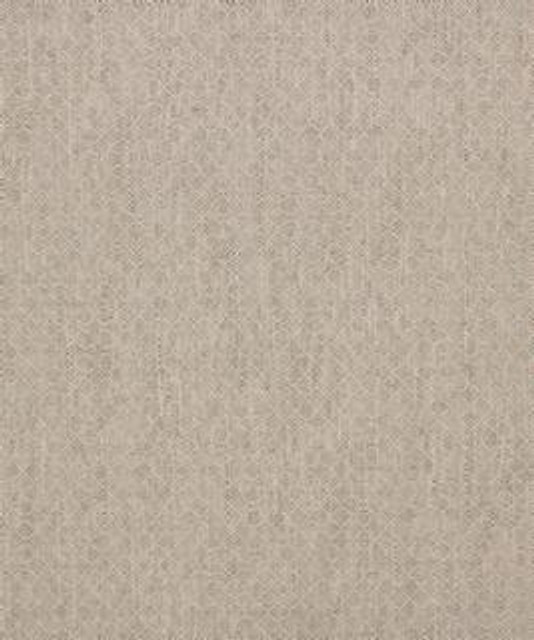 Barrow Industries Fabric Brasilia 12314 M10416 Transitional/18CL06 79% POLYESTER (S)
21% POLYESTER (F) Asia 72,000 DOUBLE RUBS Horizontal: 6/8" and Vertical: 5/8" 58" - My Fabric Connection -