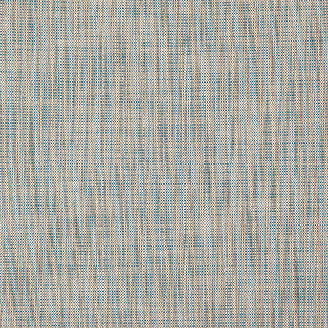 JF Fabric ALASTOR 62J7851 ALASTOR 100% Polyester INDIA ABRASIO (HEAVY DUTY- 30,000+ DOUBLE RUBS) Horizontal: N/A and Vertical: N/A 55.00 - My Fabric Connection -