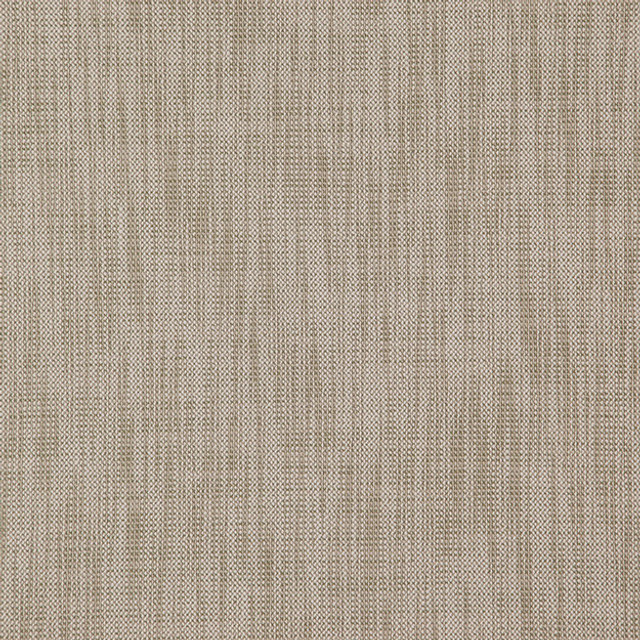 JF Fabric ALASTOR 71J7851 ALASTOR 100% Polyester INDIA ABRASIO (HEAVY DUTY- 30,000+ DOUBLE RUBS) Horizontal: N/A and Vertical: N/A 55.00 - My Fabric Connection -