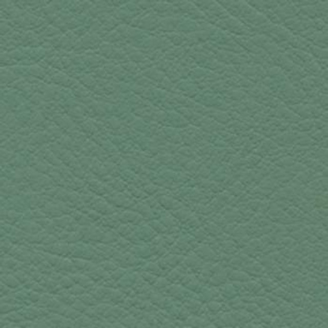 Burch Fabric Verve Basil EVE-006 our website for purchase 100% Polyurethane USA or Asia Water-based cleaning agents and foam may be used for cleaning. This fabric may also be cleaned with mild, water-free solvents. Cleaning by a professional cleaning service is recommended. Horizontal: - and Vertical: - 54" - My Fabric Connection -