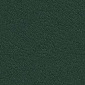 Burch Fabric Verve Evergreen EVE-013 our website for purchase 100% Polyurethane USA or Asia Water-based cleaning agents and foam may be used for cleaning. This fabric may also be cleaned with mild, water-free solvents. Cleaning by a professional cleaning service is recommended. Horizontal: - and Vertical: - 54" - My Fabric Connection -
