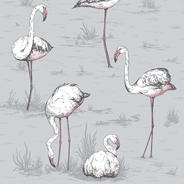 Cole & Son Wallcovering Flamingos Grey Cole & Son Wallcovering Flamingos Grey