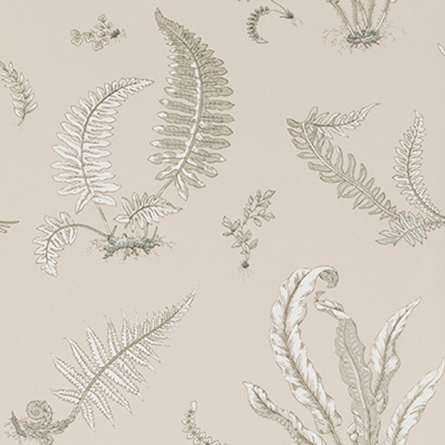 G P & J Baker Wallcovering Ferns Linen